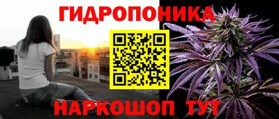 индика Наро-Фоминск