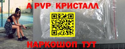 спиды Новозыбков