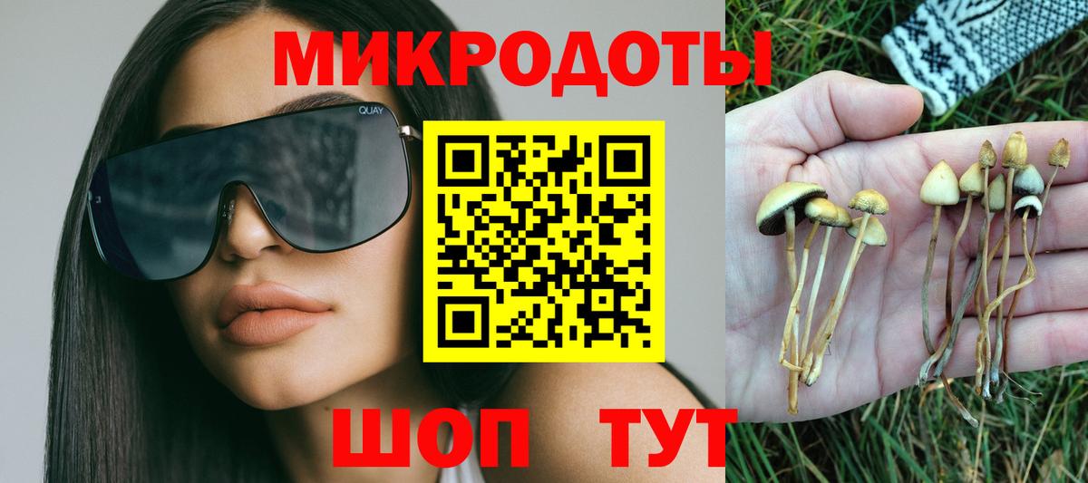 Псилоцибиновые грибы мицелий  Вход с VPN  Псилоцибиновые грибы мухоморы  Рязань 